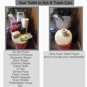 Comparison graphic illustrating what not to flush