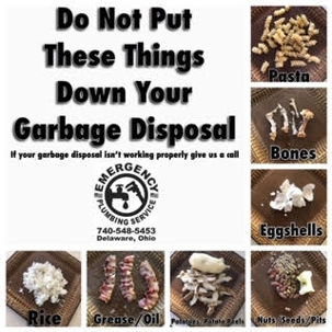 A garbage disposal warning sign. The sign says "Do Not Put These Things Down Your Garbage Disposal" and includes images of pasta, bones, eggshells, rice, grease, potato peels, and nuts/seeds/pits