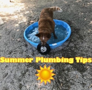 A dog drinks from a blue kiddie pool, with "Summer Plumbing Tips"