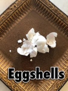 Never Put These Items Down Your Garbage Disposal 31 egg shells