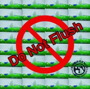 Flushable Wipes Are Not Flushable 5 dont flush