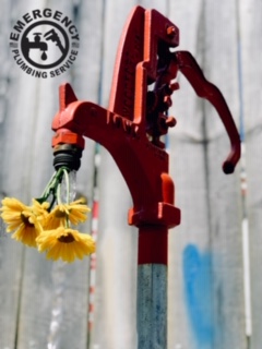 Spring Plumbing Tips 14 spring bloom