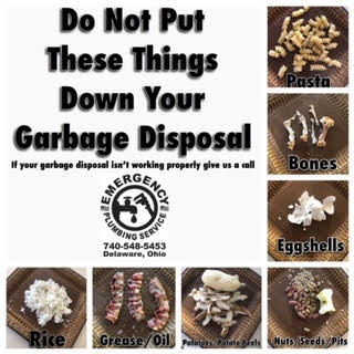 Never Put These Items Down Your Garbage Disposal